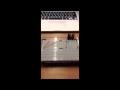 EECS 1021 - Lab 1