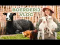 Download Lagu Mijn verzorgroutine met +150 dieren | Dierenopvang Lamana