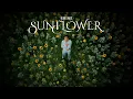 SHINE - Sunflower [ 𝐎𝐟𝐟𝐢𝐜𝐢𝐚𝐥 𝐌𝐮𝐬𝐢𝐜 𝐕𝐢𝐝𝐞𝐨 ]