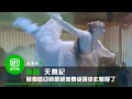 Lagu 《天舞紀》EP3 蘇猶憐迎新會大放異彩 絕美舞姿讓李玄看傻了｜愛奇藝台灣站