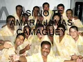 Asi no Te Amara Jamas - Camaguey