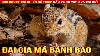 Sóc chuột phúng phính đại chiến kẻ trộm bảo vệ hũ vàng #shorts