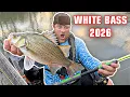 Lagu CRAPPIE FAIL TURNED INTO A WHITE BASS BEATDOWN‼️ BEST WHITE BASS LURE‼️