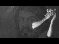 David August - THE LIFE OF MERISI