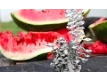 Lagu Pouring Molten Aluminum In a Watermelon. Awesome Surprise!