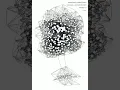 C elegans neural network simulation in 2D