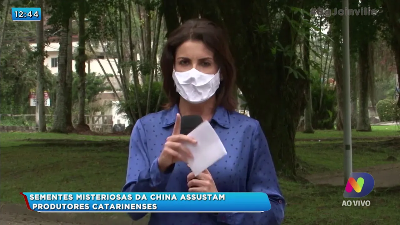 Sementes misteriosas da China assustam catarinenses
