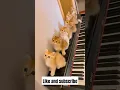 Download Lagu wabinnama'ad kucing lucu #cat #kucing #kucinglucu #viralvideo #viralshorts #shorts