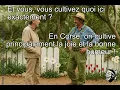 Memes corses hilarants la macagna dans toute sa splendeur Compilation qui va vous faire rire