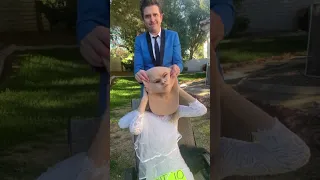 When the bride shows her real face