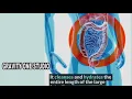 What s up with colonic hydrotherapy