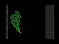 Barnsley Fern fractal