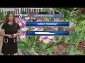 Could this week bring cooler temps