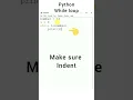 how to use while loop in Python idle