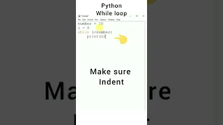how to use while loop in Python idle