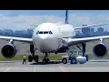 Large Airplane Airbus A330-300 Delta Airlines