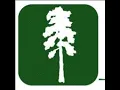 Pine Trail News Live Stream