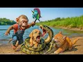 Download Lagu 🐵🐱🐶Monkey \u0026 Fat Orange Cat Save Puppy from Giant Snake Attack by the River and Grilled Fish Together