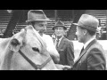 Travel Waterloo Episode 18 Dig Dairy Cattle Donuts