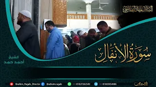 ترتيل يربط على القلوب   سورة الأنفال   الشيخ أحمد حمد دندنها