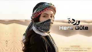                                                    اغاني كردي طرب تيك توك        مطلوبه اكثر شيء   دندنها