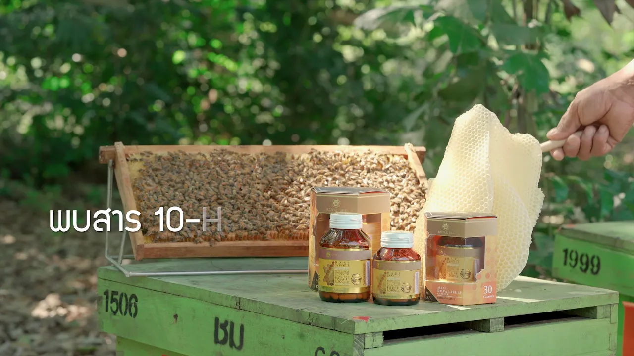 Outline Video กระบวนการ ขั้นตอนการผลิตนมผึ้ง รอยัลบี นมผึ้งแท้ 100% ต่อเม็ด (Royal Bee Maxi Royal Jelly)