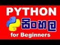 Python Tutorial - 01 Python Introduction Installation First Code