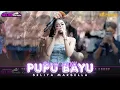 Download Lagu PUPU BAYU - SELIYA MARSELLA || THE GEN ZIE OF PANTURA SELIYA MARSELLA
