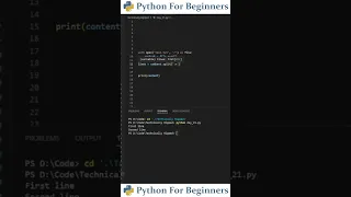 How To Read A Text File In Python Python For Beginners