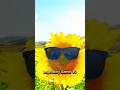 GUY vs sunflower #shortsfeed #viral #shorts #sunflower #edit #trending
