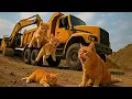 Download Lagu Mama Cat Trims Fur on the Farm and Makes Tiger Hat For Kittens At Home🐾🎩🐯