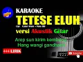 Download Lagu TETESE ELUH Karaoke versi Akustik Gitar