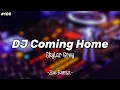 Lagu DJ I'm Coming Home Skylar Grey - Zoe Remix