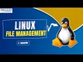 Master Linux File Management in ONE find cp rm Commands