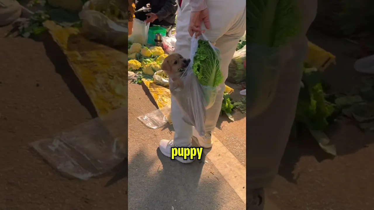 The Best Puppy Hack