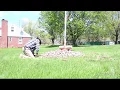Flag Pole Landscaping Part 1