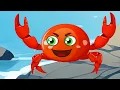 Kırmızı Balık Hikayesi❣️ YENİ Maceralar 🌊 🦀 Sevimli Dostlar Bebek Şarkıları | Çocuk Şarkıları 2024