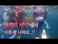 Download Lagu 울릉도 바다에서 70인의 플로빙😎 바다 속 쓰레기 얼마나 많을까?