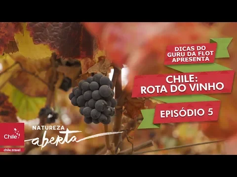 Download MP3 Web Série do Chile - Episódio 5: Rota do Vinho