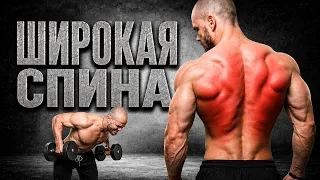 Широкая Спина с Гантелями | Строим Тело Аниме Героя 2