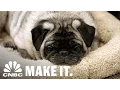 Relocating Pets Grew Into A 50 Million Business Strange Success CNBC Make It