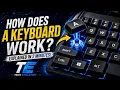 How Does a Keyboard Work What Happens When You Press a Key