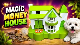 Coin Watch the Puppy Steal the Coins! 😍  House Mystery! Tiny  Puppy Steal the Coins! 😍 LIVE #ASMR