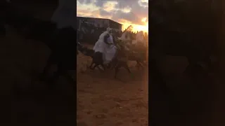 اهل الاجواد ليبيا 