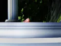 Download Lagu MMD || 雲と幽霊 || The Clouds and the Ghost