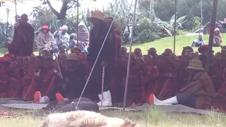 bana ba ntate mmako futhong 2023 23 makoloane a matsekha secoama le nyofane