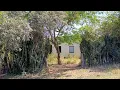 Lagu Voltei Na Casinha Assombrada Para Ver Como Está Depois Que A Proprietária Faleceu.Inacreditavel.