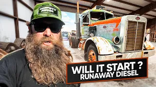 WILL IT START Rare 358 Peterbilt Abandoned For 40 Years