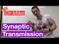 Synaptic Transmission Neuron