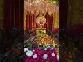 Download Lagu #attukalamma #attukaltemple #ponkala